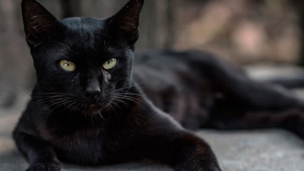 ¿Conoces el origen del viernes 13? Lo que hay detrás de la superstición