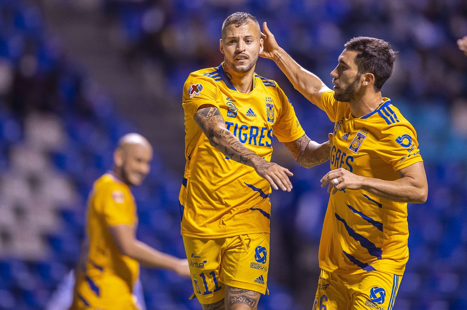 Tigres, solo vale ganar