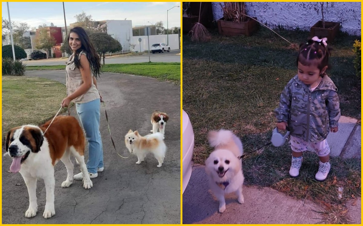 Tras separación, él regala a perro sin consentimiento de su familia