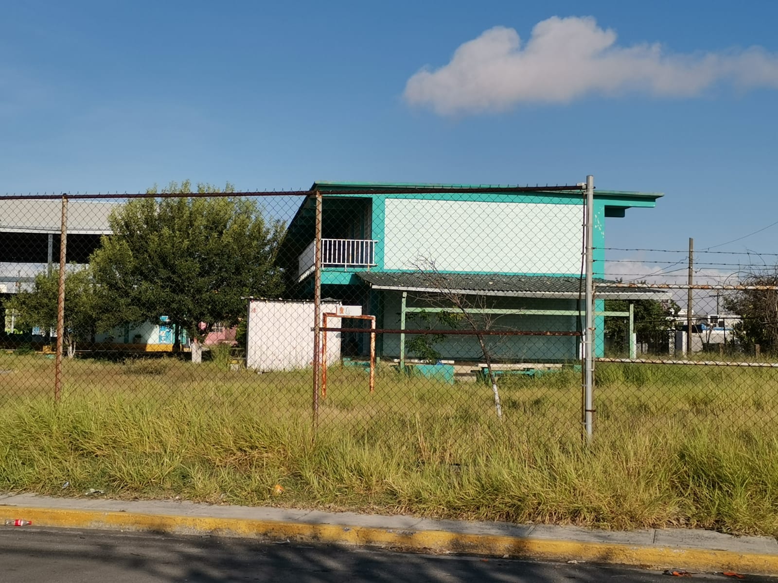 Descuido asemeja escuela con "selva" en San Nicolás