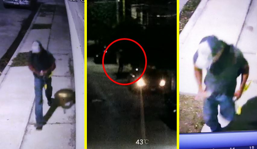 Vecinos captan a ladrón que acecha en fraccionamiento de Gómez Palacio