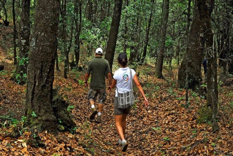 Sierra de Santa Rosa, una escapadita de fin de semana en Guanajuato