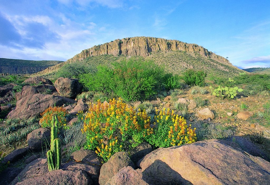 Sierra de Santa Rosa, una escapadita de fin de semana en Guanajuato