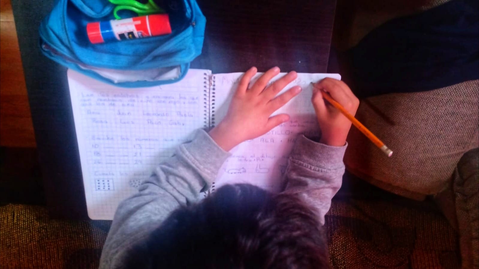 Trabajo autónomo es la estrategia para educación a distancia: AEPF