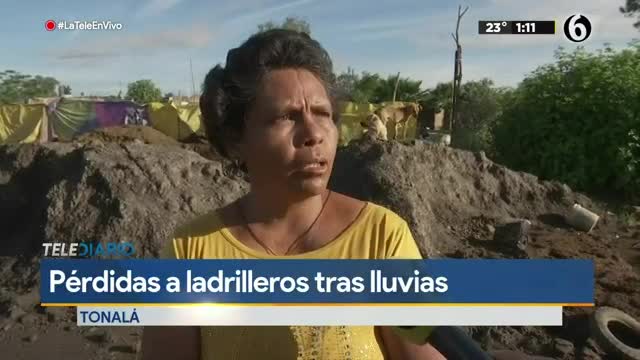 Pérdidas en la colonia La Ladrillera tras desborde de arroyos 