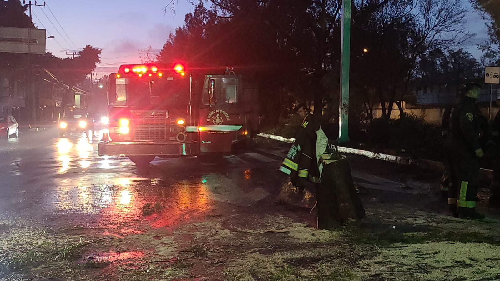 Caída de árbol de 10 metros de altura causa afectación vial en avenida 412 de Gustavo A. Madero