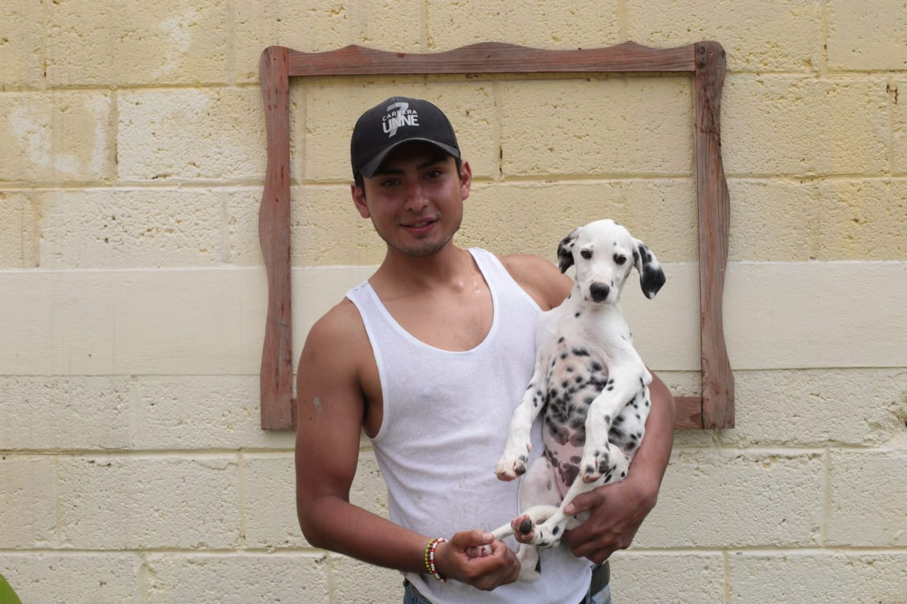 ¡Héroe! Joven rescata con sus propios medios a sus perritos atrapados en inundación en Tula