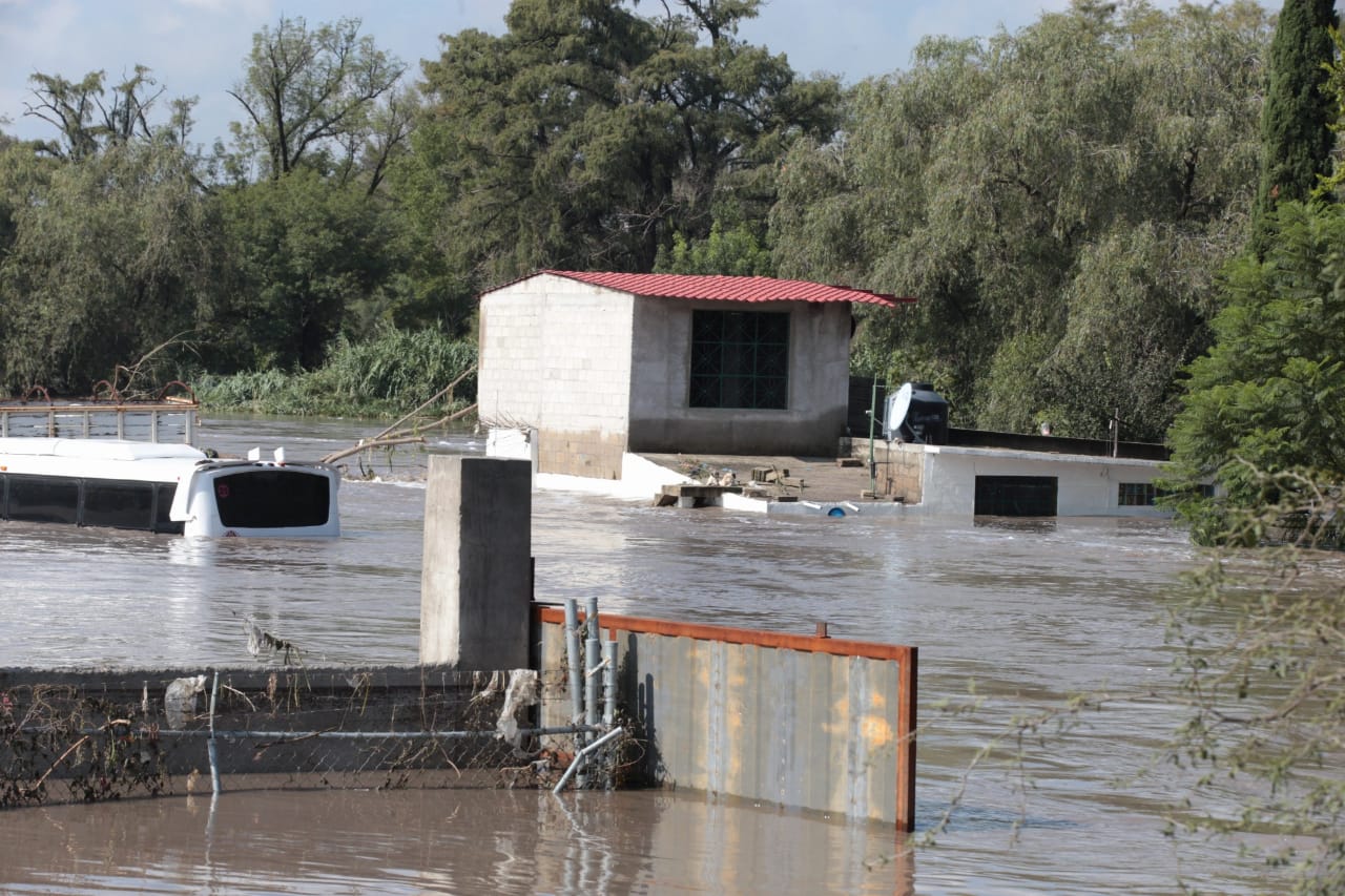¡Héroe! Joven rescata con sus propios medios a sus perritos atrapados en inundación en Tula