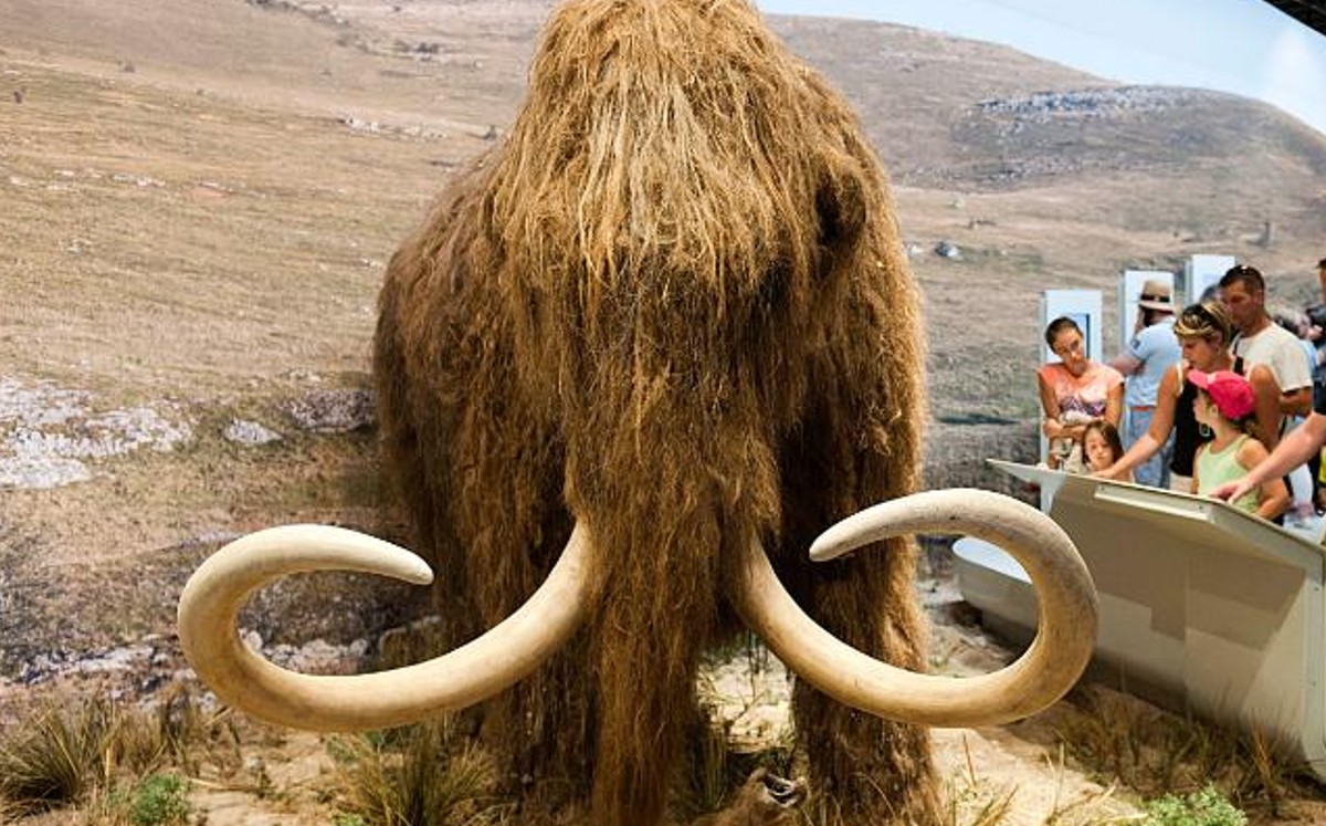 Científicos planean recrear al Mamut lanudo para 'sanar' la Tierra