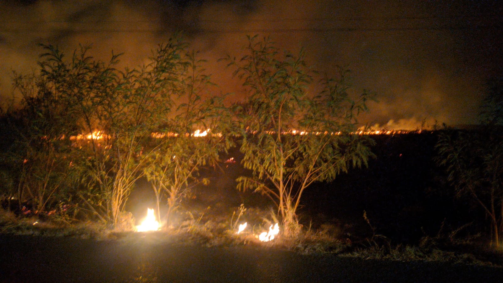 Sofocan incendio de gran dimensión sobre Carretera a San Mateo