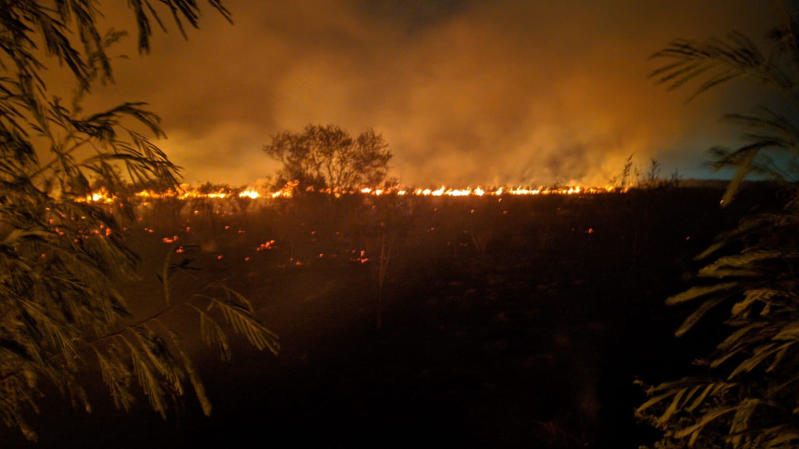 Sofocan incendio de gran dimensión sobre Carretera a San Mateo