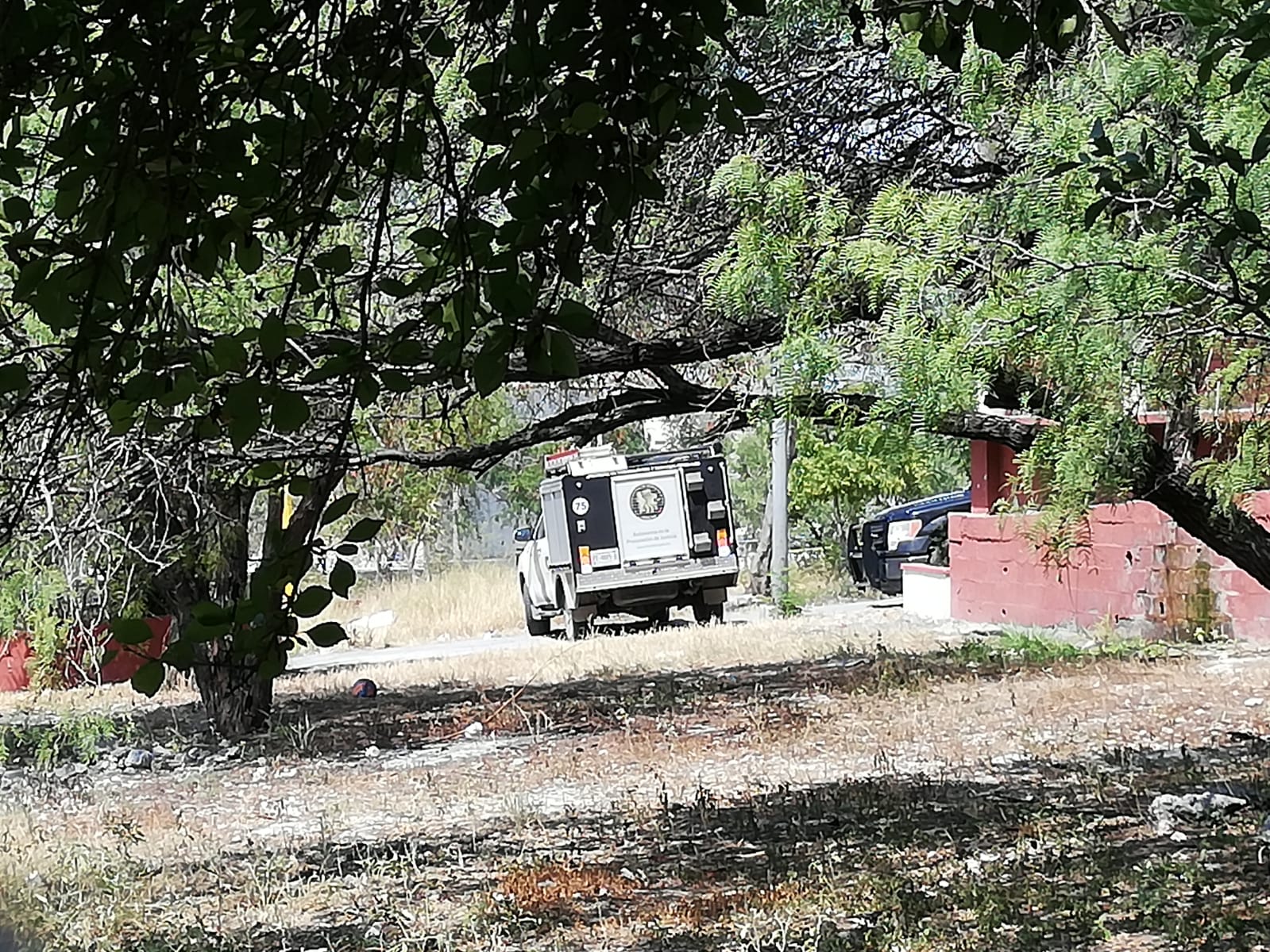 Hallan cráneo humano dentro de hielera en primaria al norte de Monterrey  