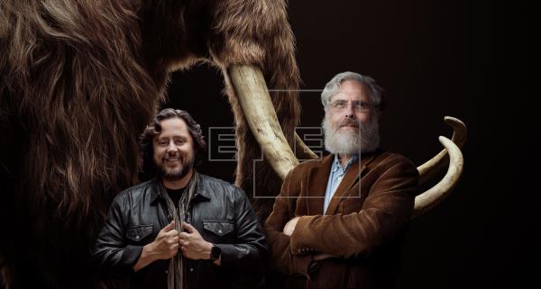 Científicos planean recrear al Mamut lanudo para 'sanar' la Tierra