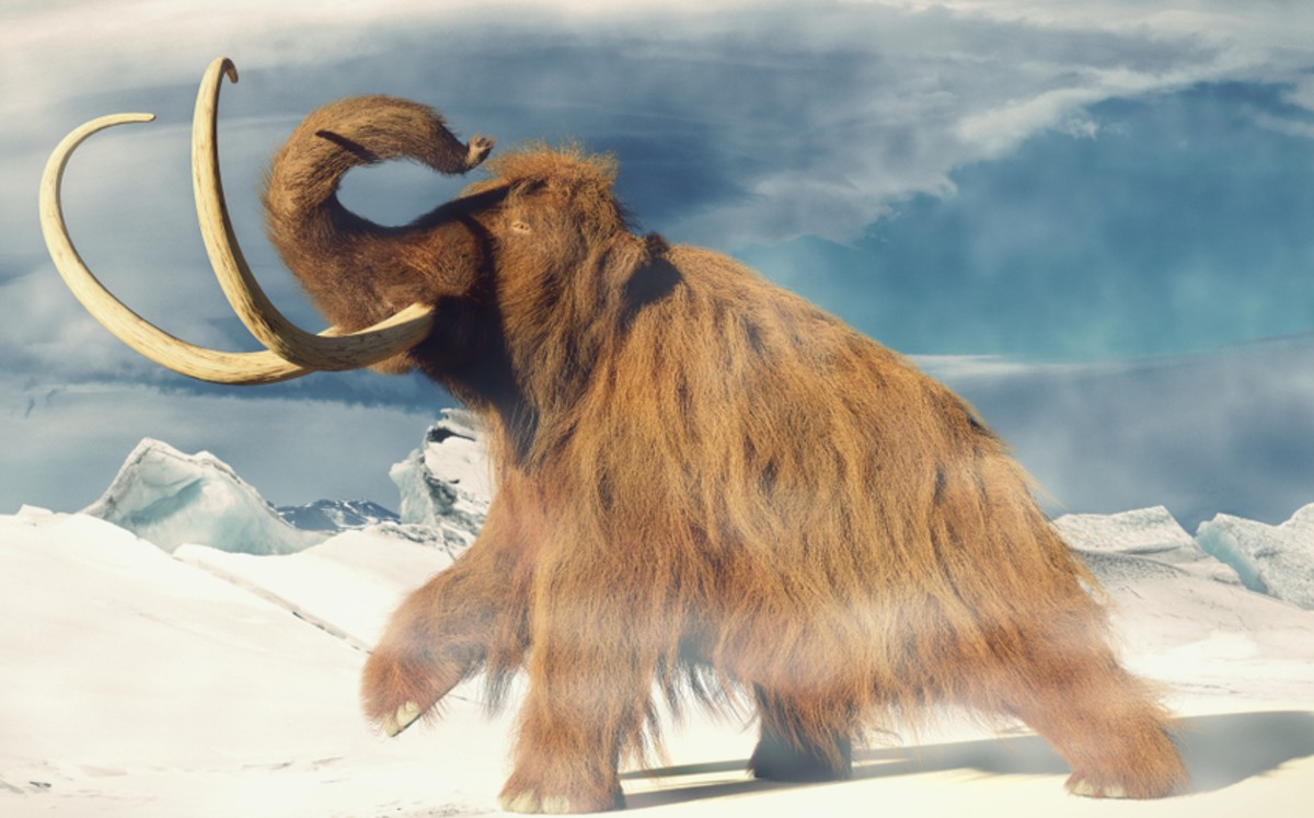Científicos planean recrear al Mamut lanudo para 'sanar' la Tierra