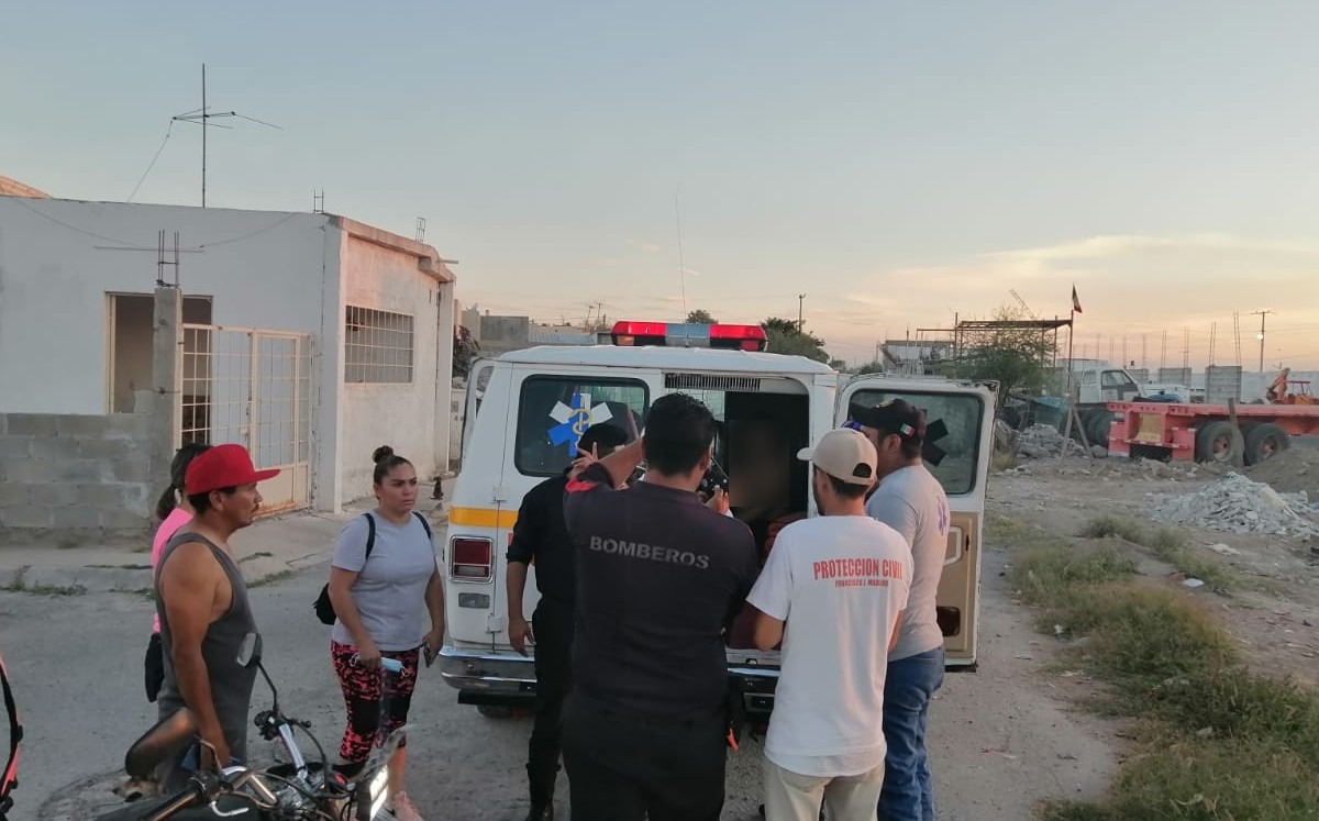 Familia sufre ataque por enjambre de abejas en La Laguna