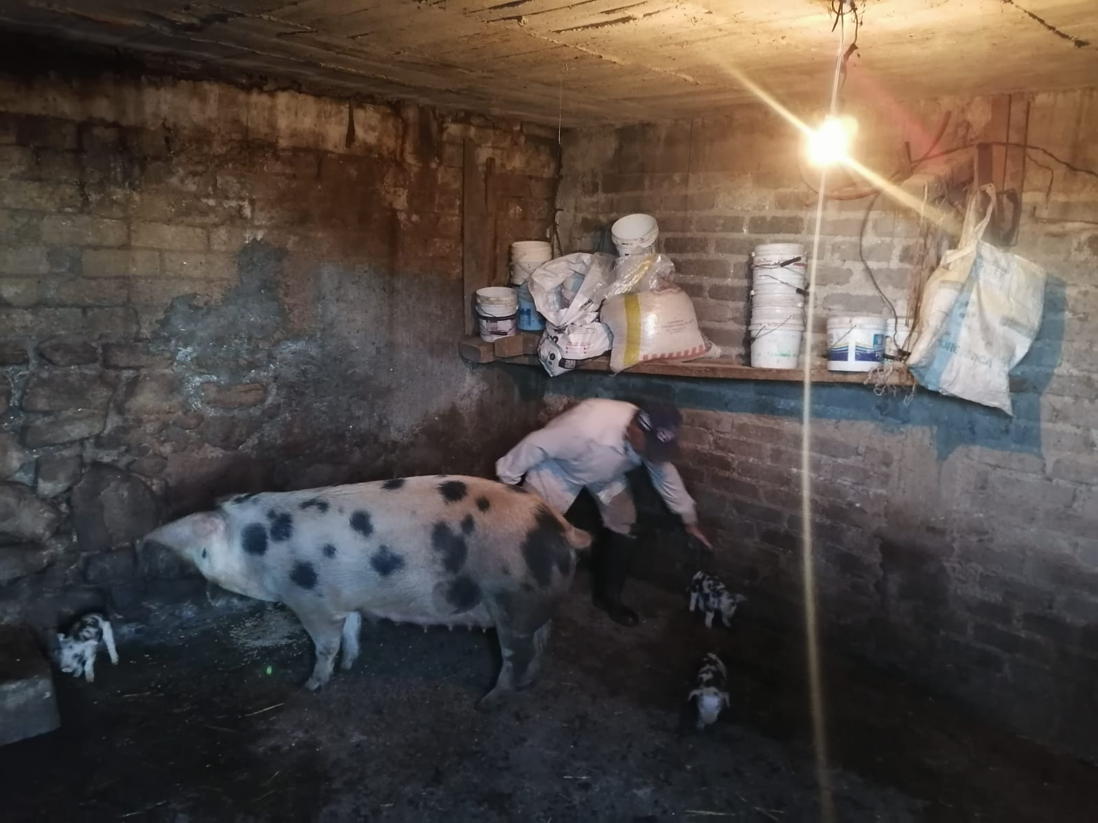 “A mí que me paguen lo que tengo de construcción y me bajo”: don Pedro, último habitante en zona cero del cerro del Chiquihuite