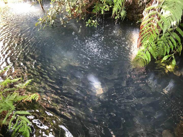 Cañón de la Garita en Cuerámaro ideal para deportistas extremos
