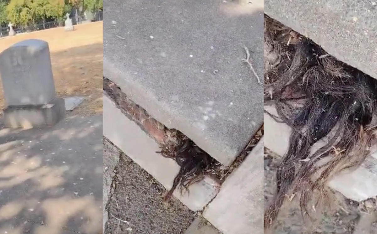 VIDEO: Un hombre encontró pelo humano saliendo de una tumba