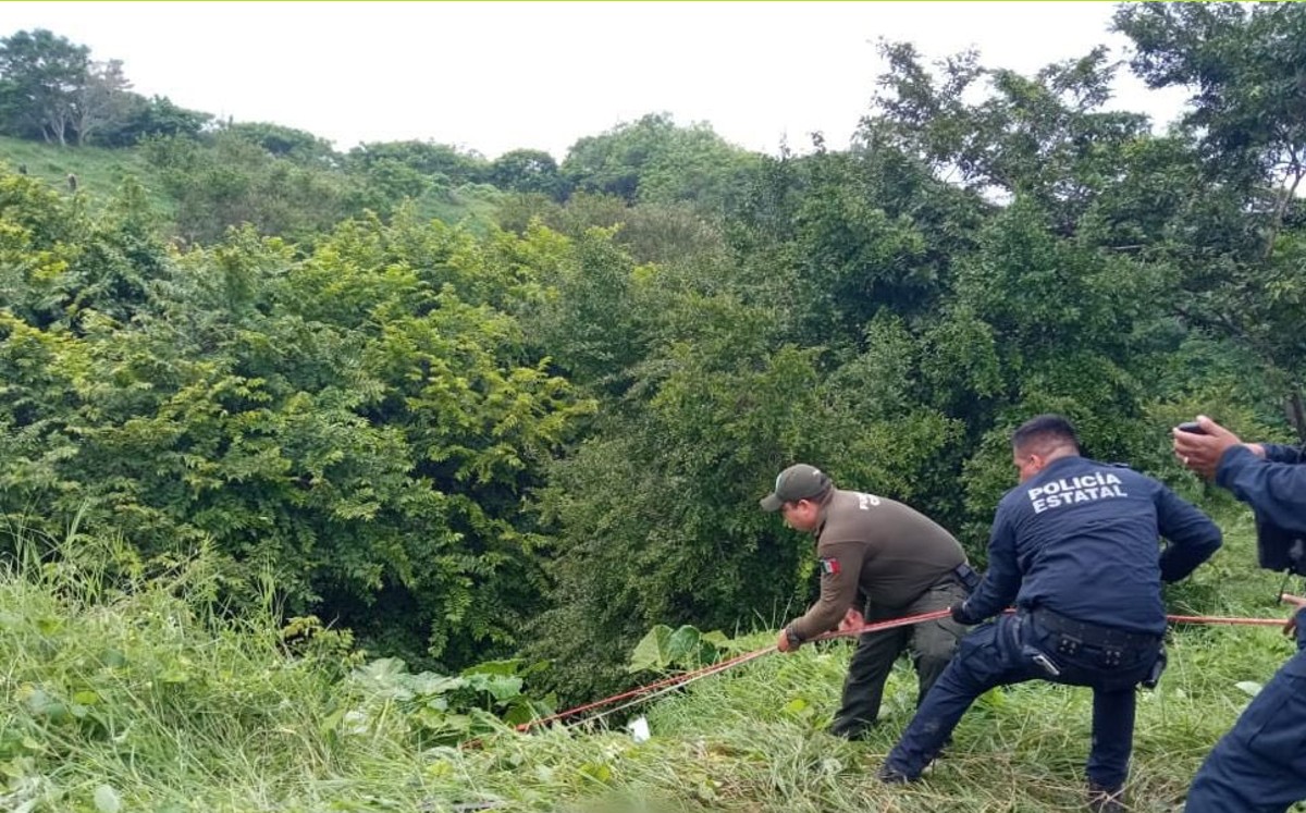 Camioneta vuelca y cae a barranco en Veracruz; mueren 4 migrantes