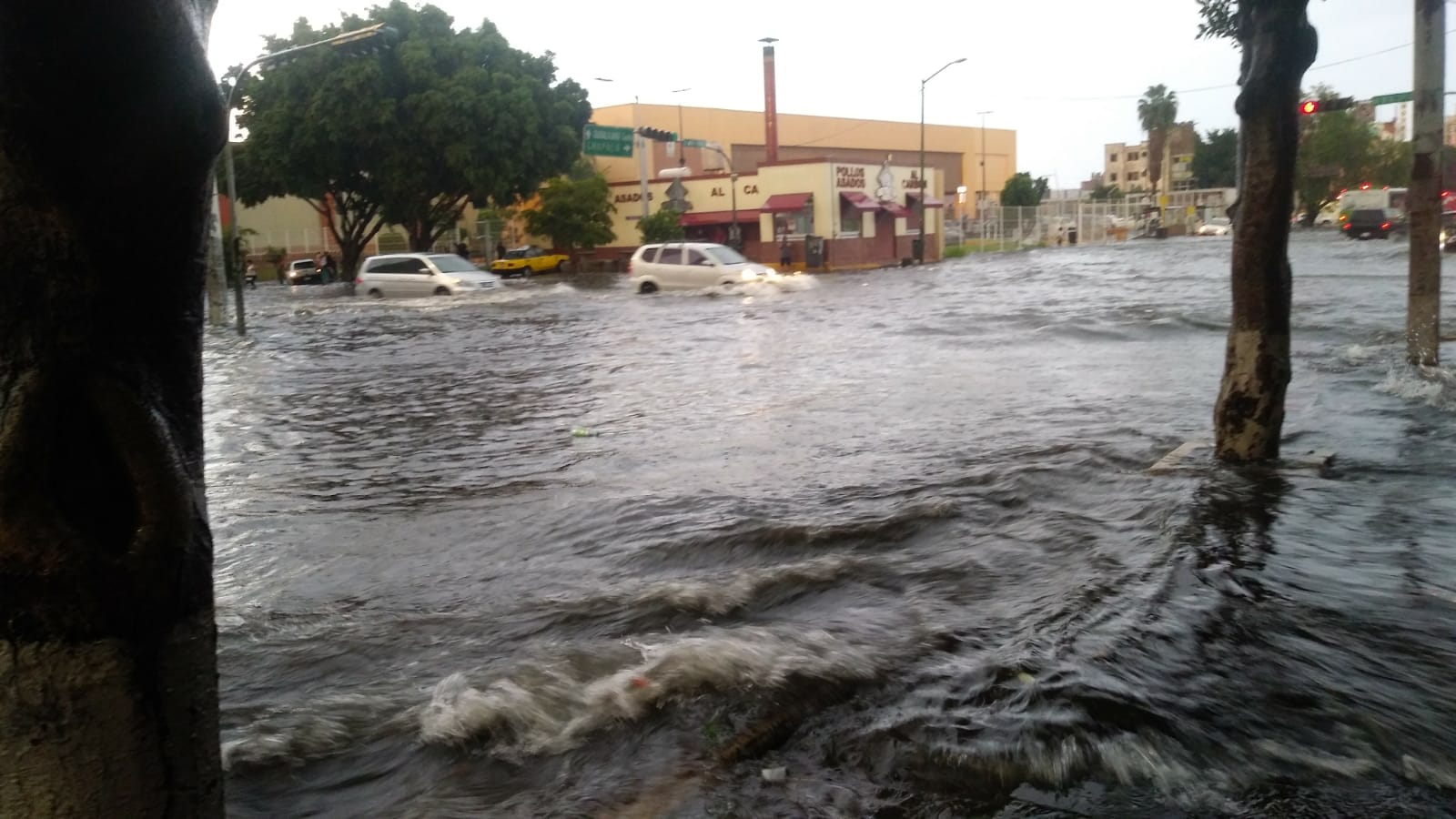 ¡Qué raro! Fuertes lluvias colapsan Guadalajara