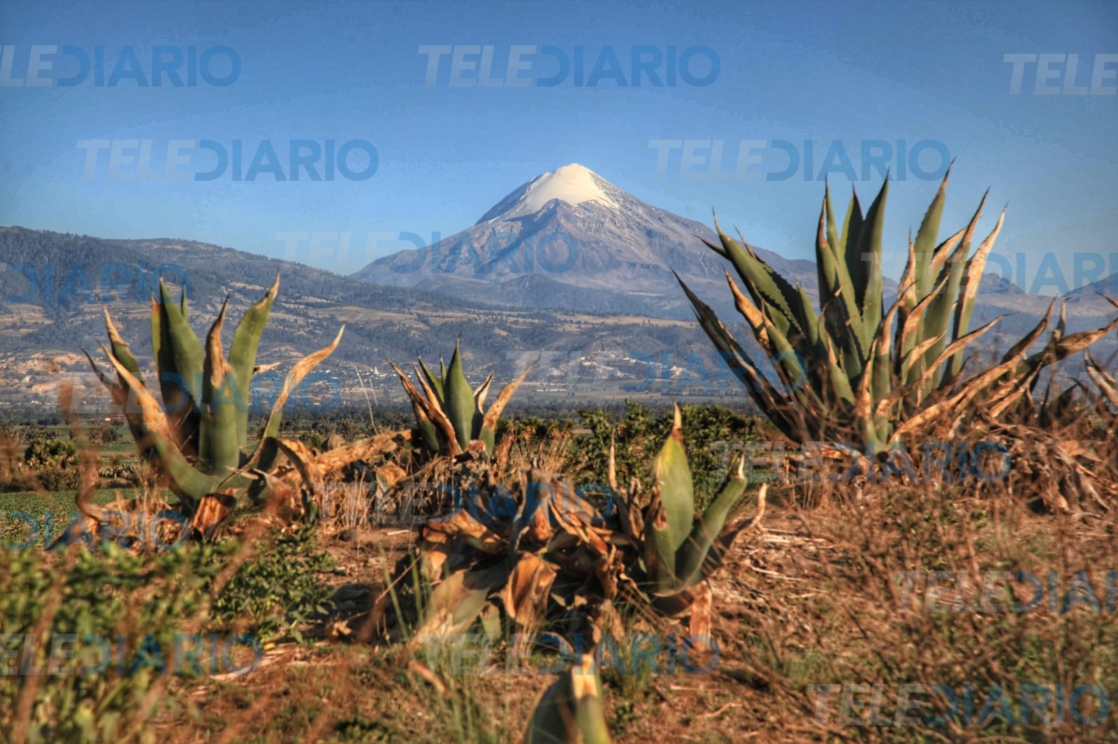 Pico de Orizaba pertenece a Puebla por abarcar más territorio: INEGI
