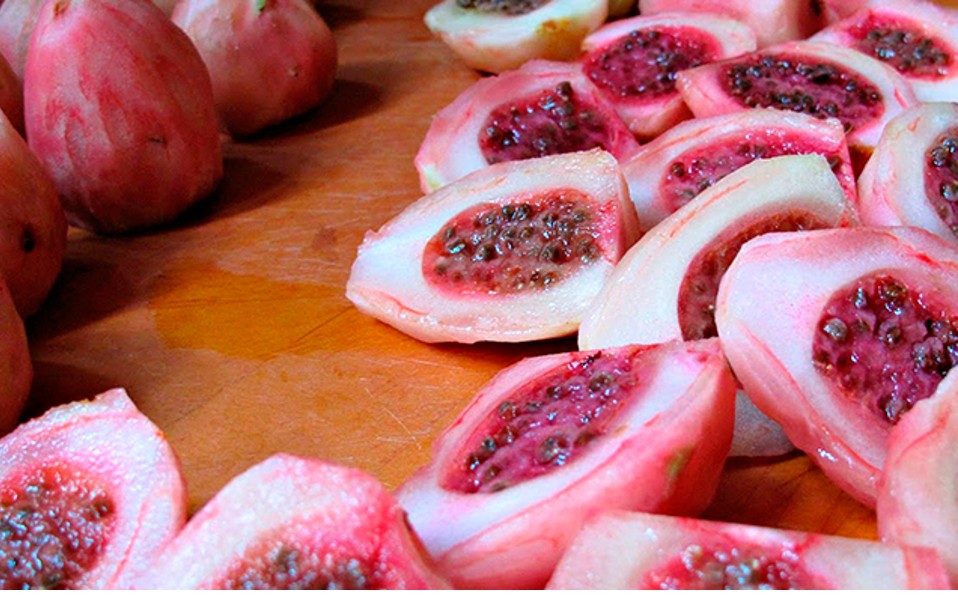 ¿Caldo de zorra? Para esta receta no se hiere a ningún ser humano o sintiente