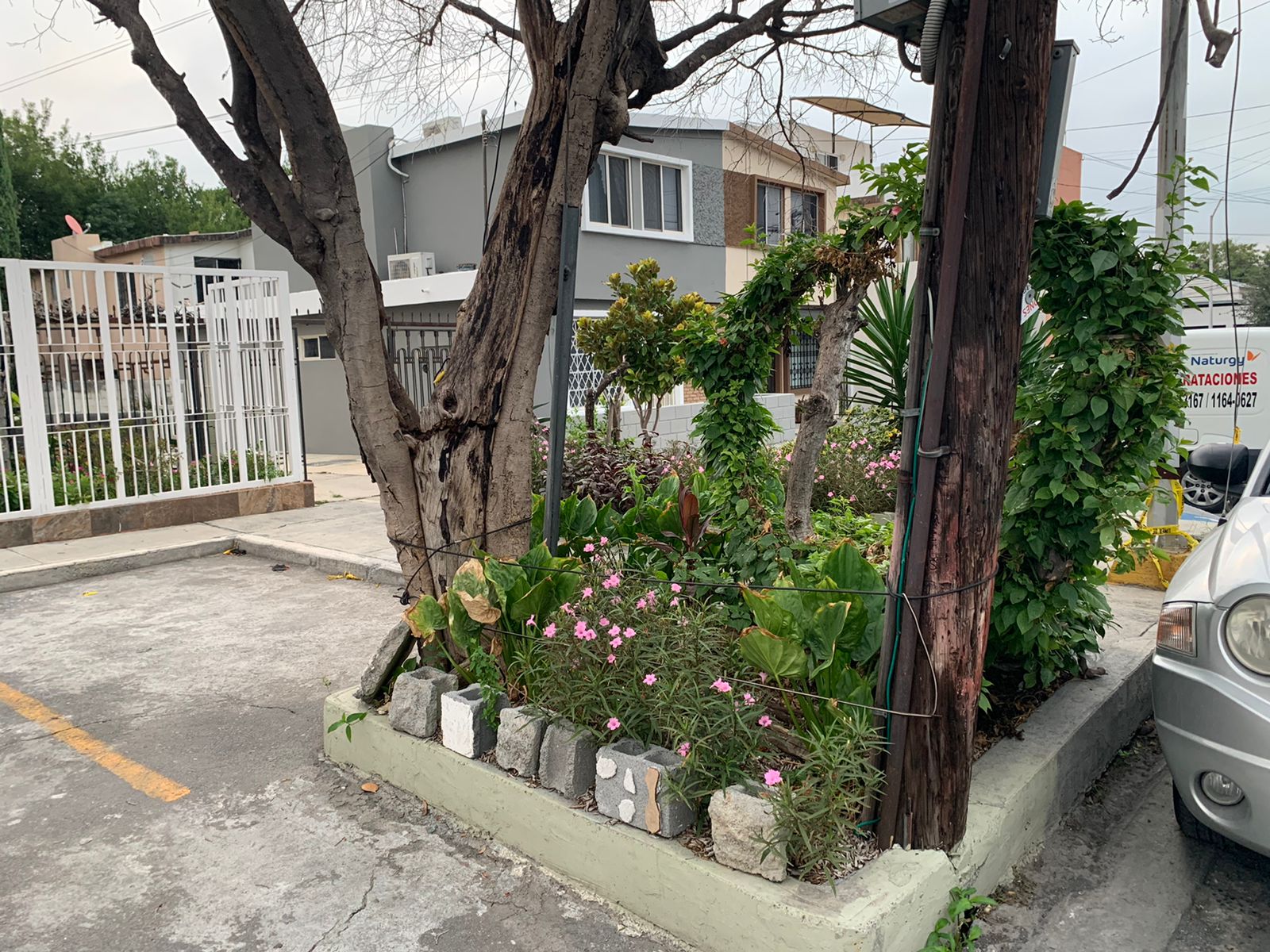 Consterna a vecinos de Guadalupe hallazgo de feto en una jardinera