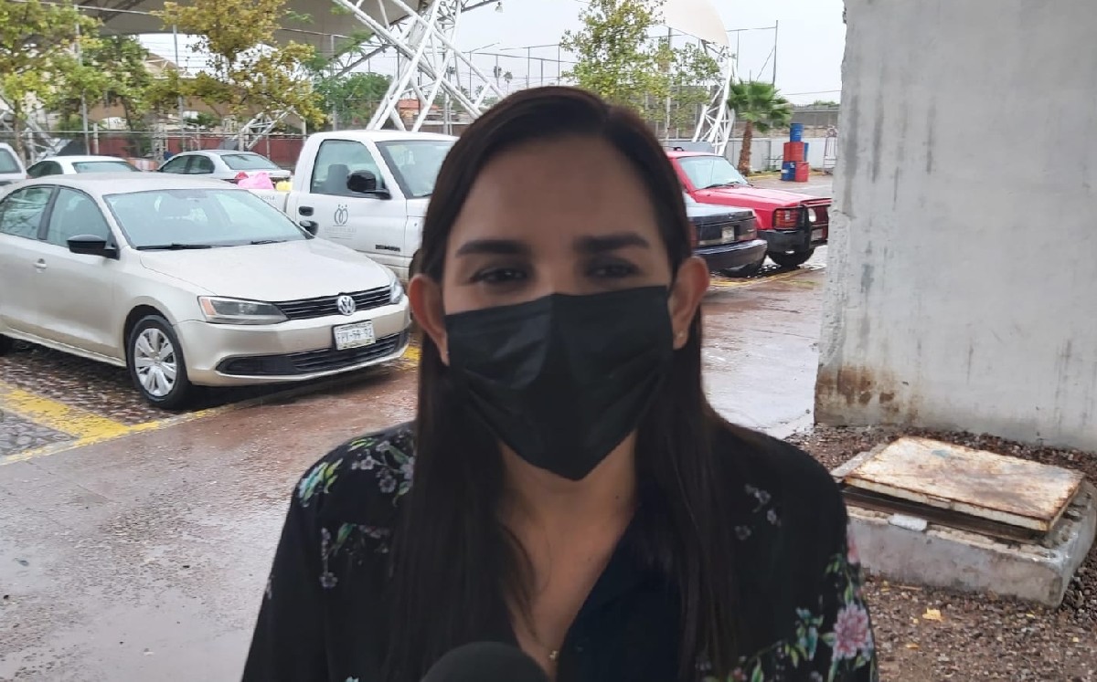 Trabajan en bosquejo de plan de manejo para el Parque Morelos