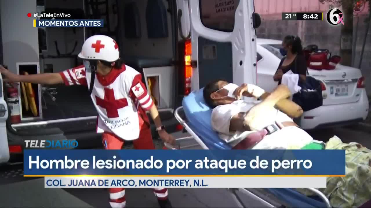 Pitbull ataca a uno de sus dueños al verlos discutir en Monterrey 