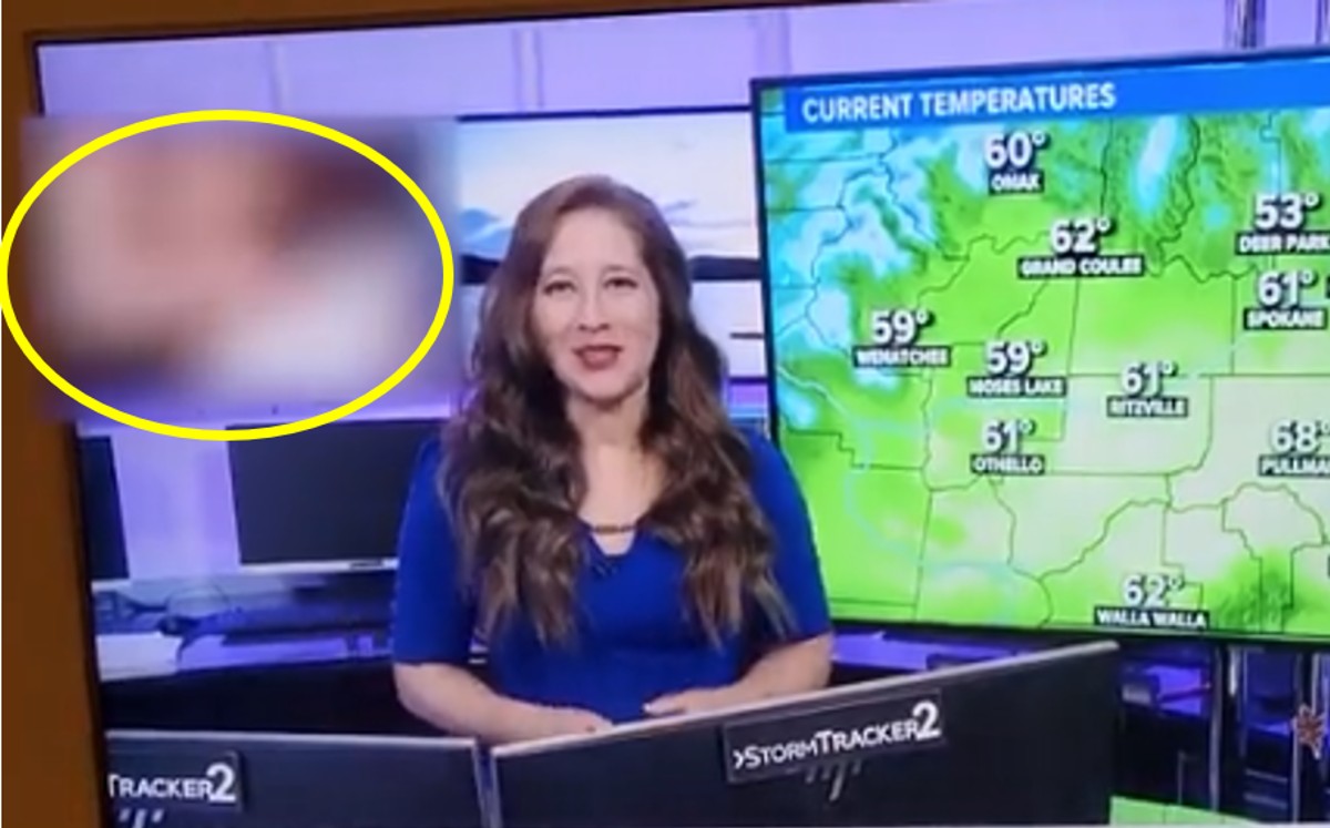 En pleno programa en vivo, transmiten por error video para adultos