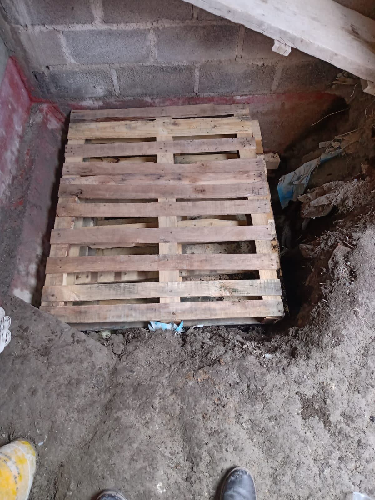 Localizan ‘huachitúnel’ a ducto de Pemex dentro de casa en Acolman, Edomex
