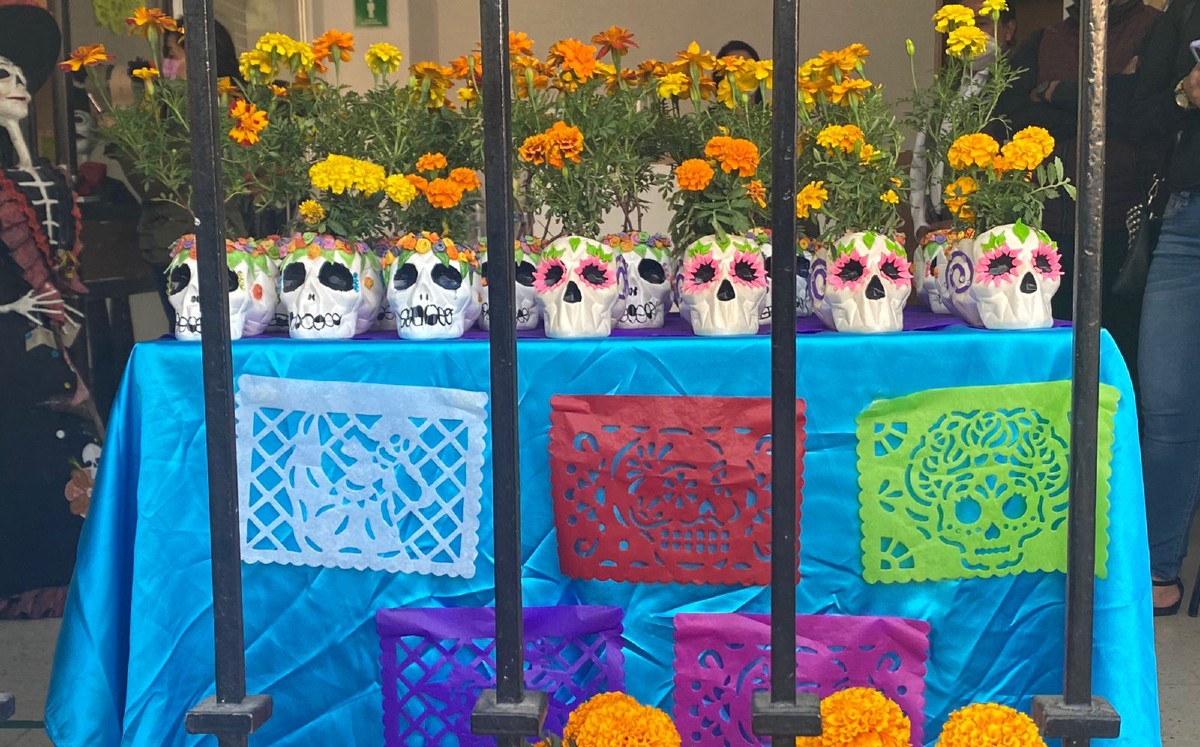 Presos cultivan flores de cempasúchil que se venden en calles de la CdMx