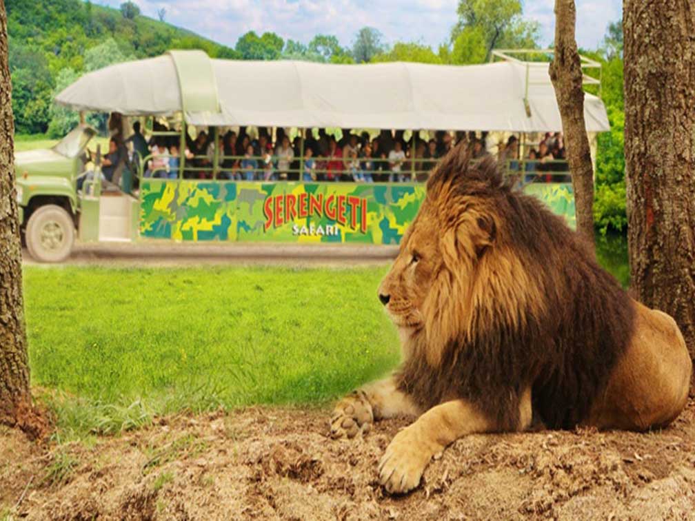 ¿Vas a viajar a Nuevo León? Conoce los 10 mejores lugares turísticos 
