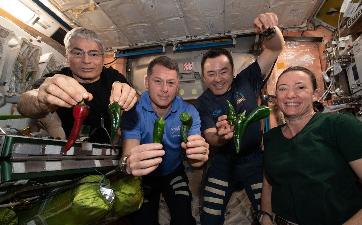 ¡Increíble! Astronautas de la NASA preparan tacos desde el espacio