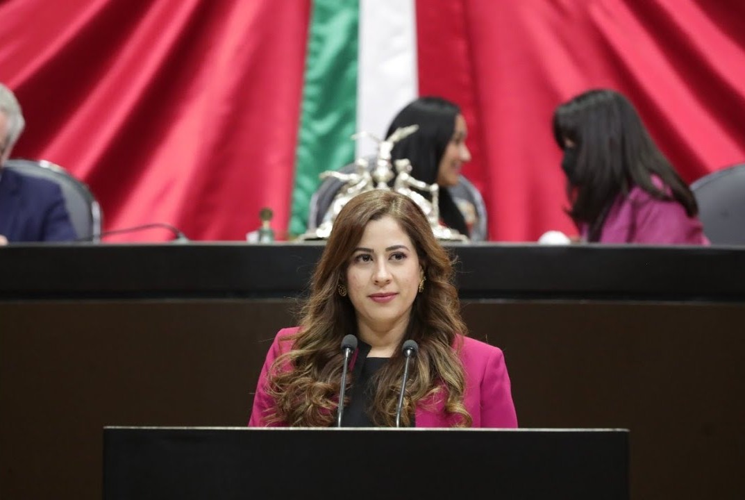 Presentan iniciativa para inhabilitar a funcionarios sancionados que 'brinquen' en puestos del gobierno