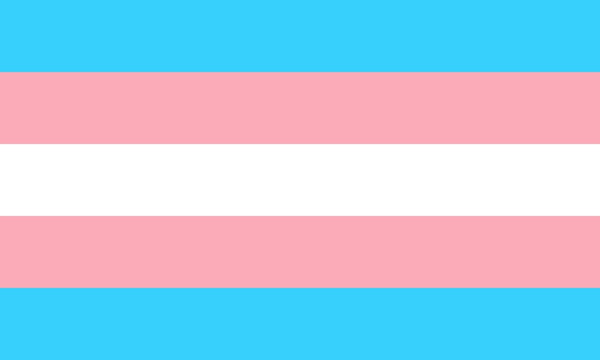 Bandera Transgénero / Pixabay
