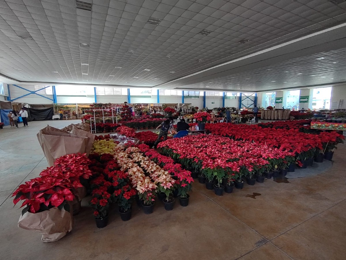 La 'Feria de la Nochebuena 2021' se realizará hasta el 12 de diciembre / Jaime Carrera