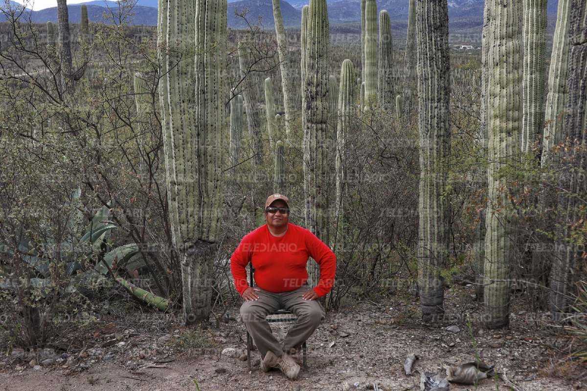 Cactus columnar en el área natural protegida Tehuacán-Cuicatlán / Andrés Lobato