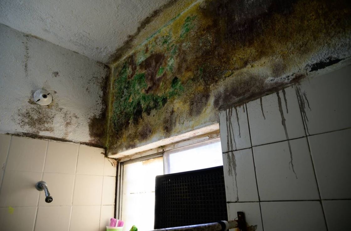 Evidencia Mariana Rodríguez deterioro de villas en DIF Capullos.