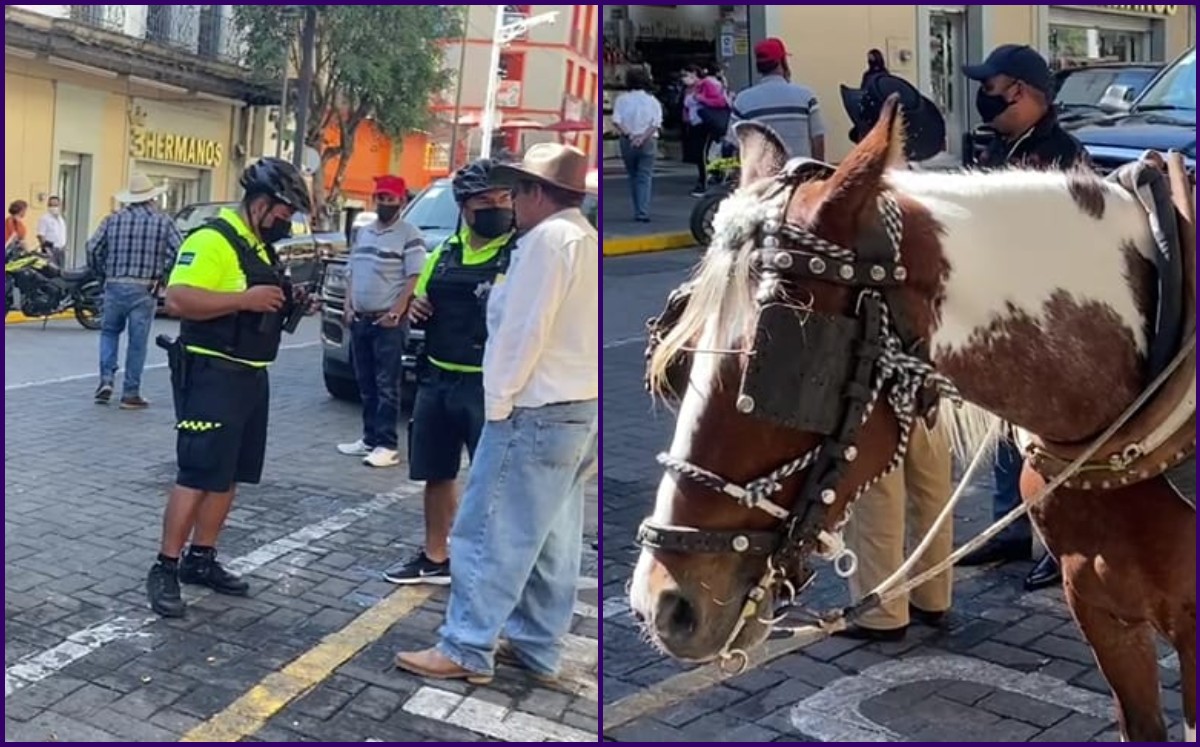 Policía es atropellado por caballo en Guadalajara / Especial