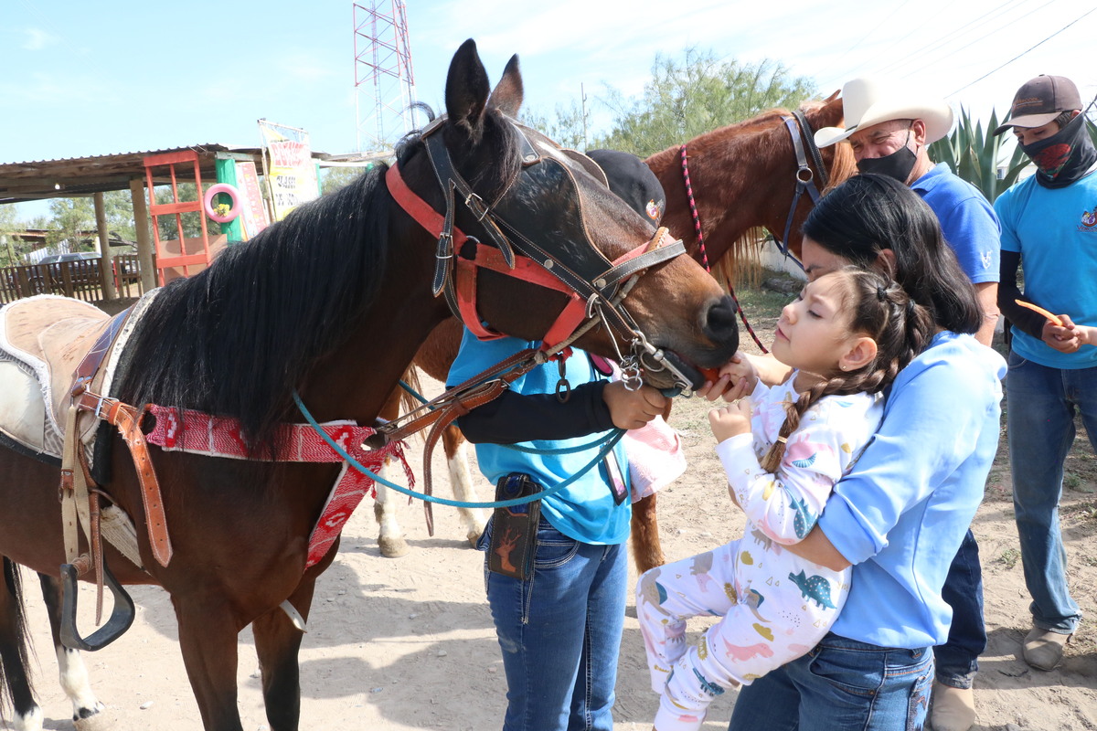 Los caballos funcionan como catalizadores en problemas motrices. / Leonel Rocha