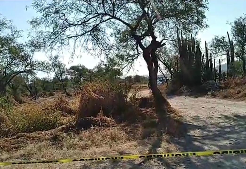 Encuentran muerta a una joven en Tehuacán / Apolonia Amayo