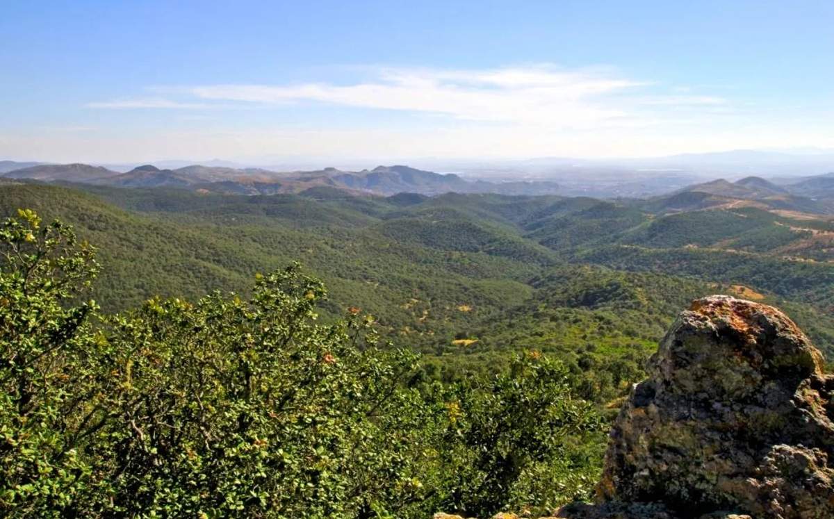 Se han ejecutado acciones de conservación de suelo, agua y servicios ambientales