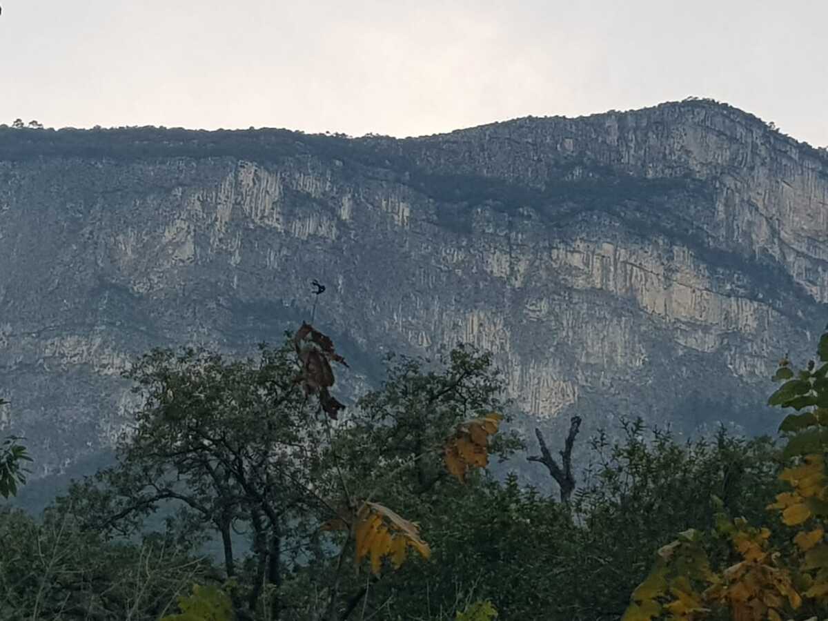 En el lugar se encuentran apoyando en las maniobras, rescatistas de Protección Civil de Nuevo León / Cortesía