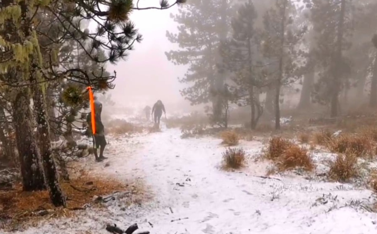 Se registra caída de nieve en el Cerro del Potosí, en Galeana