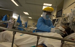 La funcionaria estatal indicó que el caso se analiza en la Ciudad de México y en unos días se obtendrán los resultados.