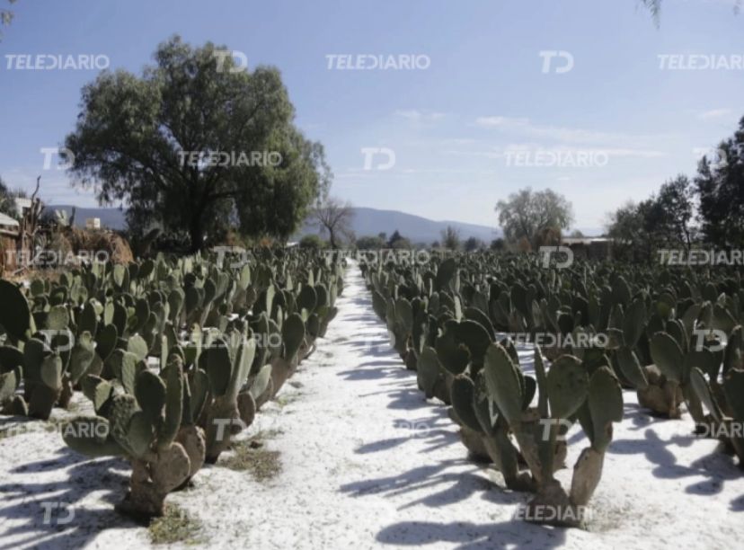 Granizada en Acatzingo / Andrés Lobato