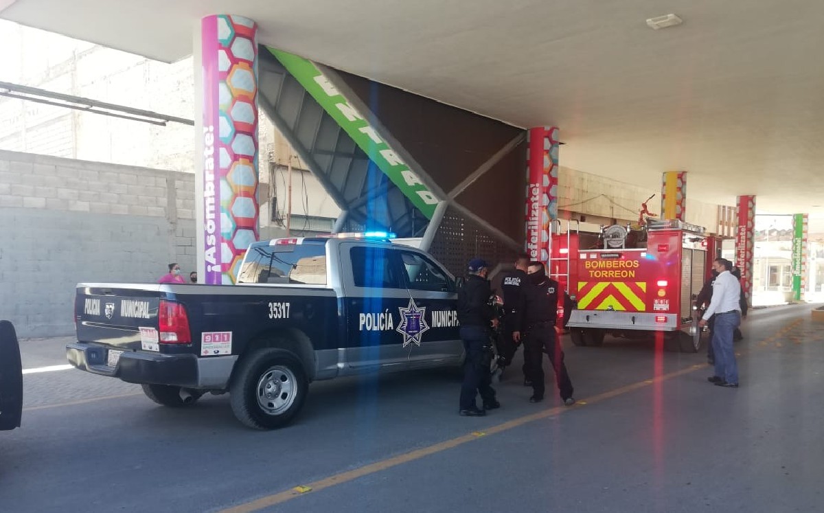 Tras balacera, restos de animal generan alarma entre comerciantes de Torreón. Foto: Archivo.