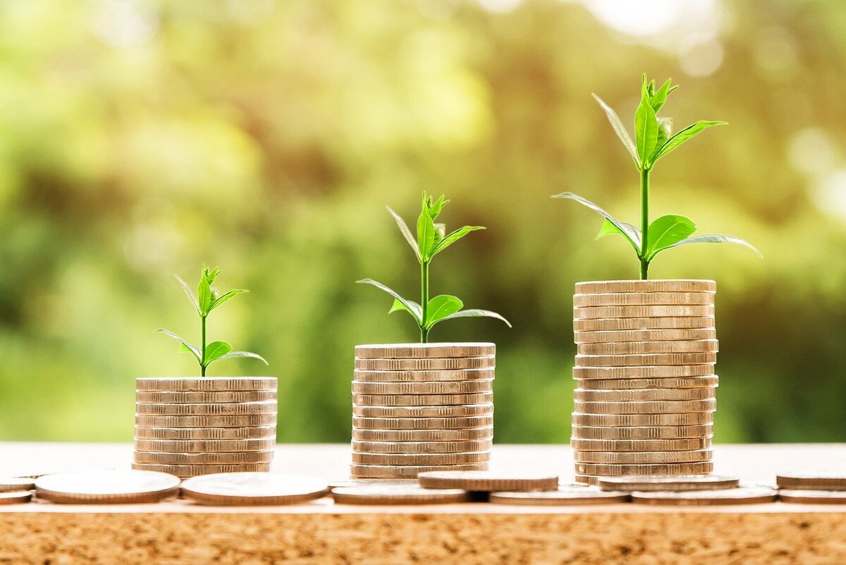 Dinero sembrado / Pixabay