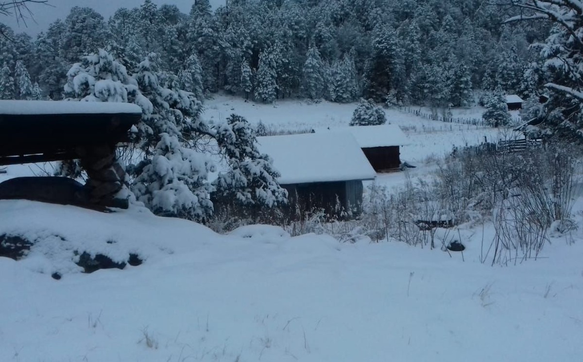 Cae nieve en 11 municipios de Durango
